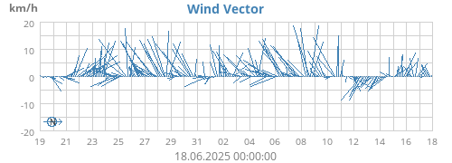 Wind Vector